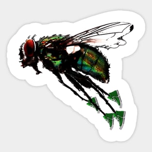 Shoe-fly Sticker